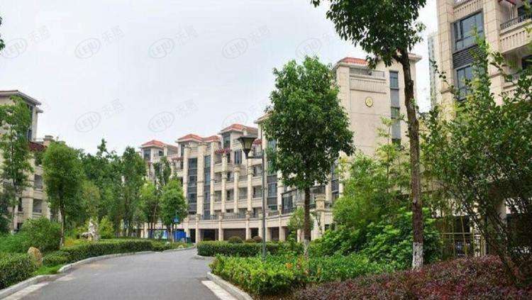 宏(hong)信•依山郡(jun)