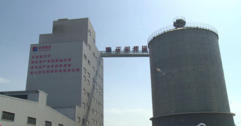 沙(sha)洋正(zheng)邦現代公(gong)司(si)